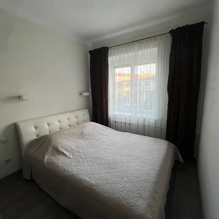 Cozy In Center With Free Parking Klaipeda